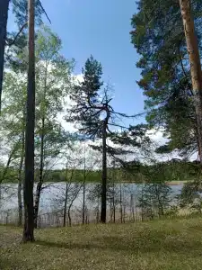 Озеро Свято - 36