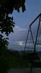 Уютный дворик - 29