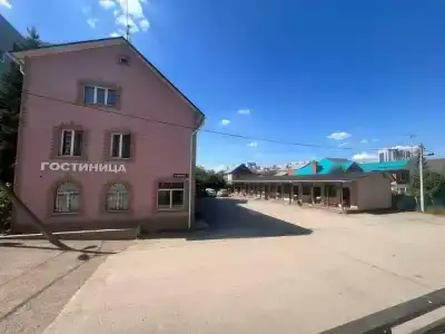 Альпийский - 19