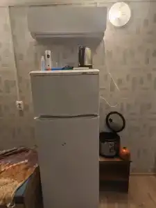 Коктем - 45