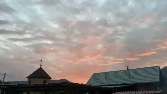Ной - 29