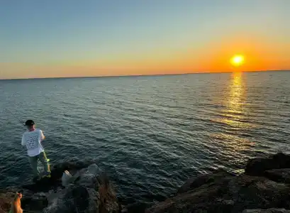 Белый Кролик - 87