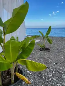 İstanbul Beach - 52