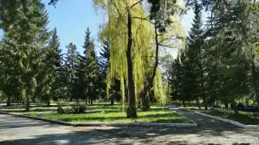 Волга - 66