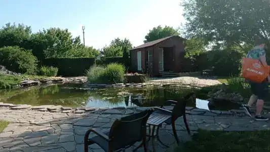 Чижик - 31