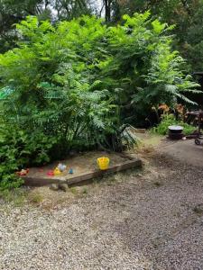 Светлана - 5