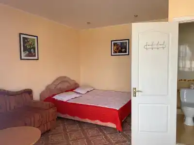 Амир-Дани - 46