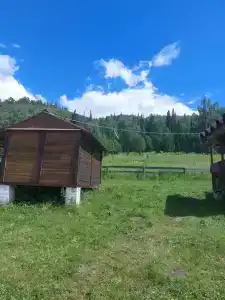 Душа Алтая - 24