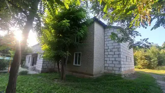 У Александра - 2