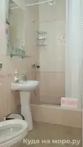Аир - 13