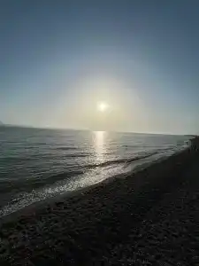 Времена Года - 0