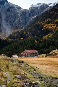 Марал - 0