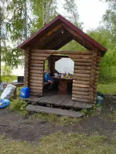 Лесные эльфы - 8
