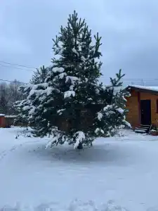 Guest House on Seliger - 25