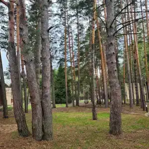 Времена Года - 10