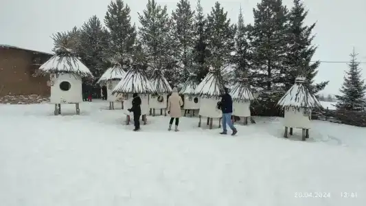 Листопад - 9