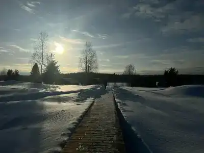 Лунный свет - 42