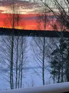 Лунный свет - 40