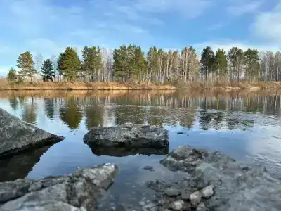 Потапыч - 2
