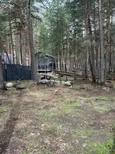 Наедине с Эльбрусом - 4