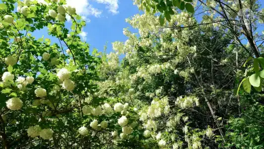 Гранитный каньон - 27