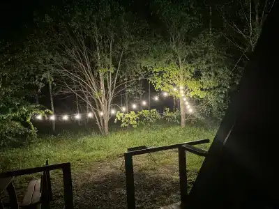 Мультиферма - 6