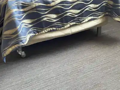 Регина Университетская - 50