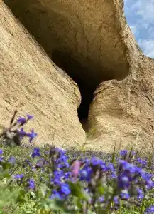 Ibrahim Evi - 27