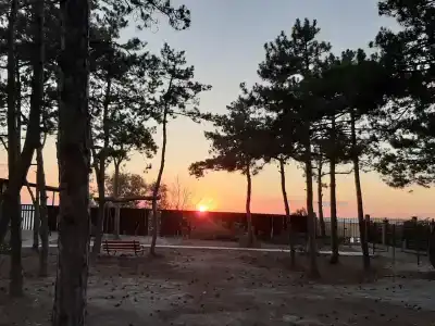 Песчаный берег - 21