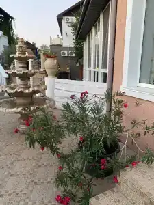 Казантипская хижина - 82