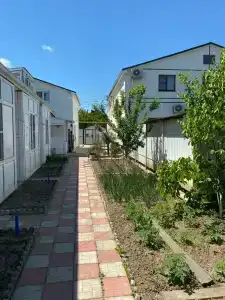 Сокол - 0