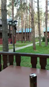 Чайка - 39