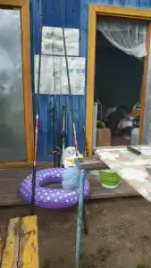 Бодрость - 83