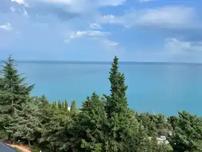 Дружба - 26