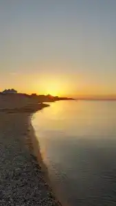 Белый Лотос - 66