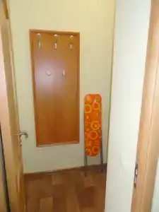 Дельфин - 43