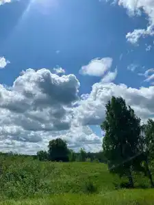 Черемушки - 25