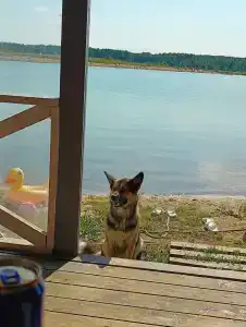 Дом на озере в Борщево - 46