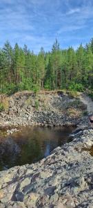 Усадьба Гирвас - 68