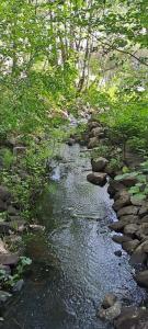 Усадьба Гирвас - 36