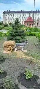 Светлый - 54