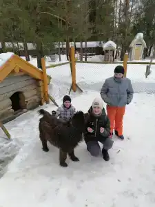 Высоковское - 52