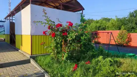 У Евгении - 9