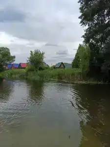 Нежеголь - 30