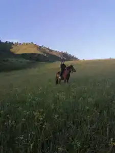Алтын-Тас - 16