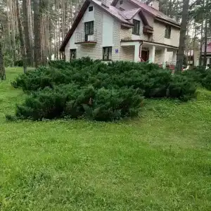 Энергетик - 32