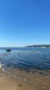 Волжанка - 16