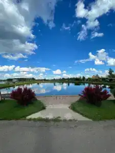 Ихтиолог - 14