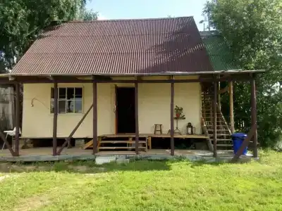 Живое - 21