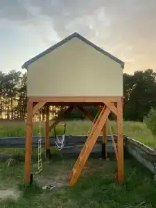 Смородина - 10